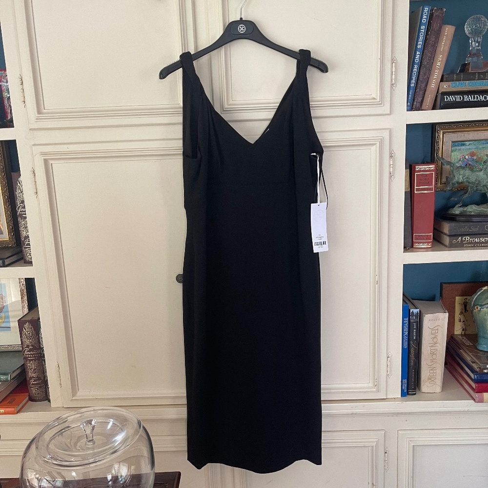 Elegant Carlisle Per se dress